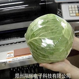  蔬菜自動包裝機 